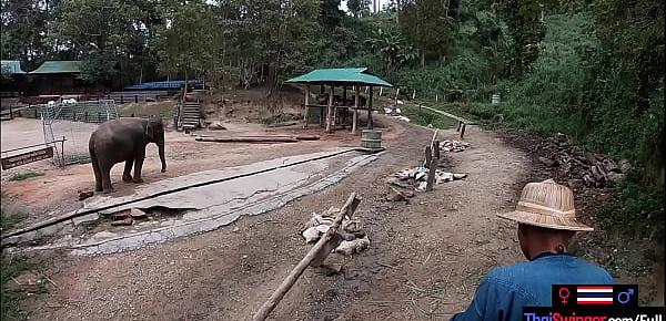  Elephant riding in Thailand with teen couple who had sex afterwards